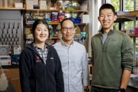 COVID in pregnancy raises child’s risk for developmental disorders